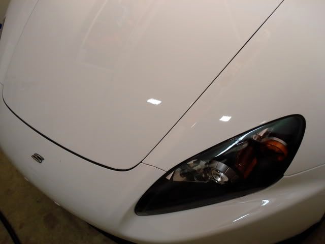 DSC04259.jpg