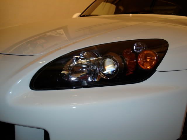 DSC04260.jpg