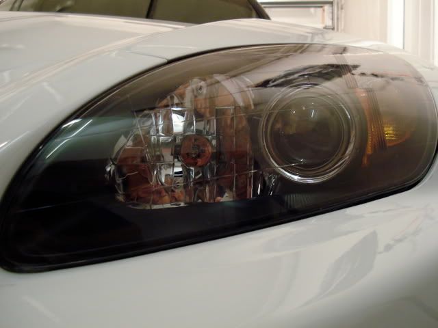 DSC04266.jpg