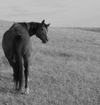 Photography? - Countryside Families