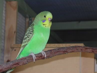DSCN1601.jpg