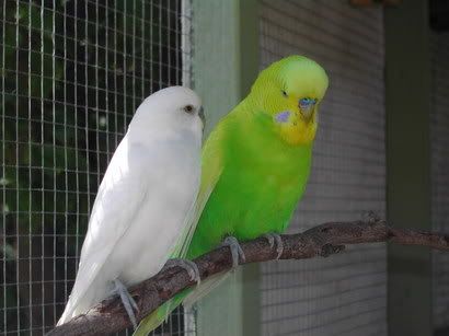 DSCN1609.jpg