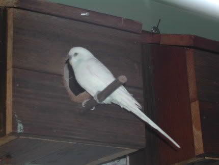 DSCN1614.jpg