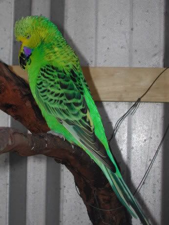 DSCN1638.jpg