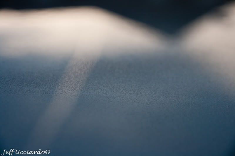 177_XMT_Spraywax_December032011.jpg