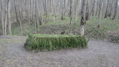 Tumba de Tolstoy