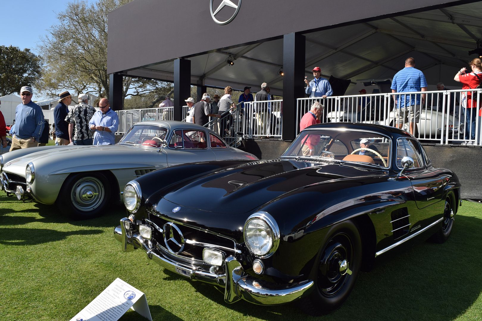 1955 Mercedes-Benz 300 SL in the Mercedes-Benz (Gull Wings) Class