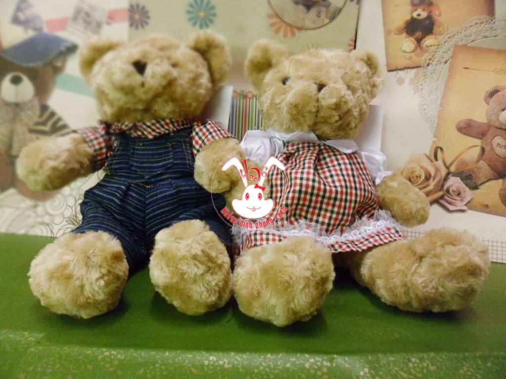 Gấu bông Teddy -Gấu bông Me.to.you -Gấu bông đáng yêu đủ loại hấp dẫn - 3