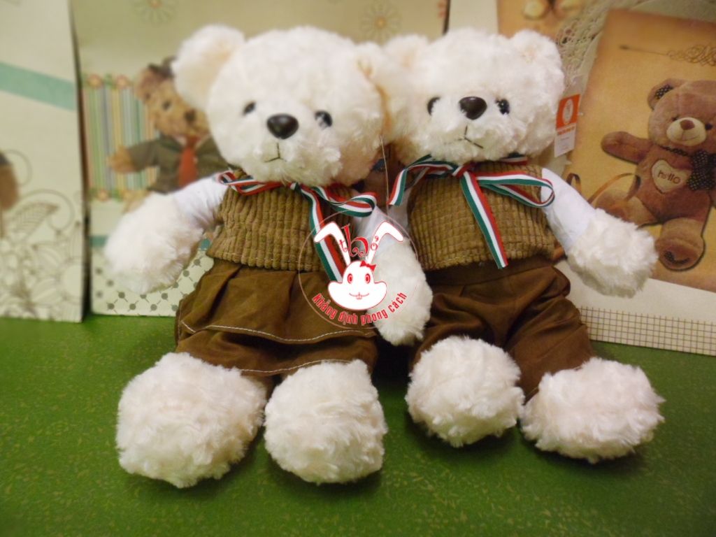 Gấu bông Teddy -Gấu bông Me.to.you -Gấu bông đáng yêu đủ loại hấp dẫn - 1