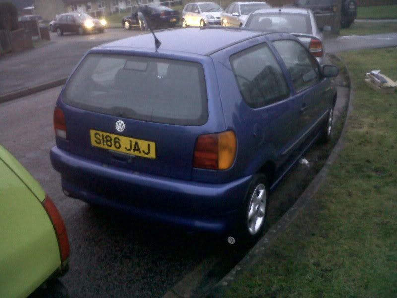 my polo and my brothers Lupo DUB brothers 