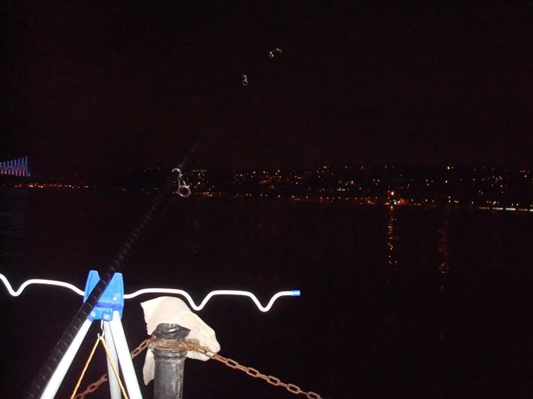 [Resim: 1gece.jpg]