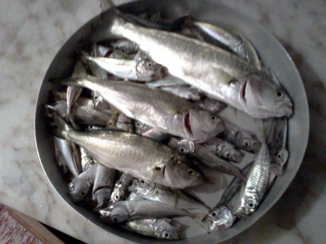 [Resim: IMG500.jpg]