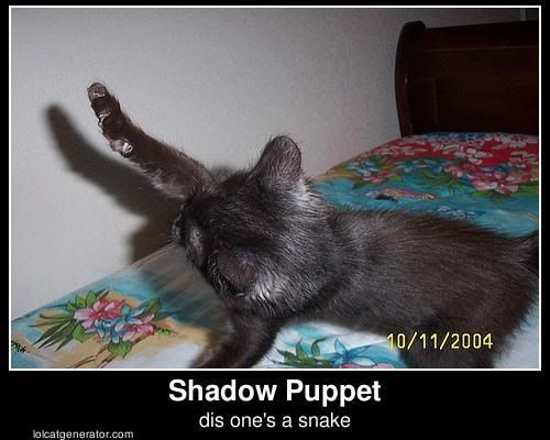 shadowpuppet-disonesasnake.jpg