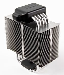 danamics-lm10-small.jpg