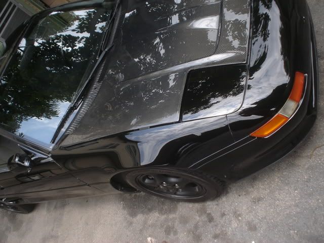 DSC02323.jpg
