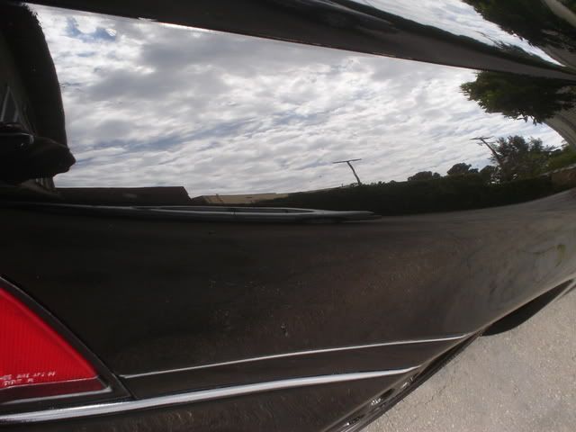DSC02335.jpg
