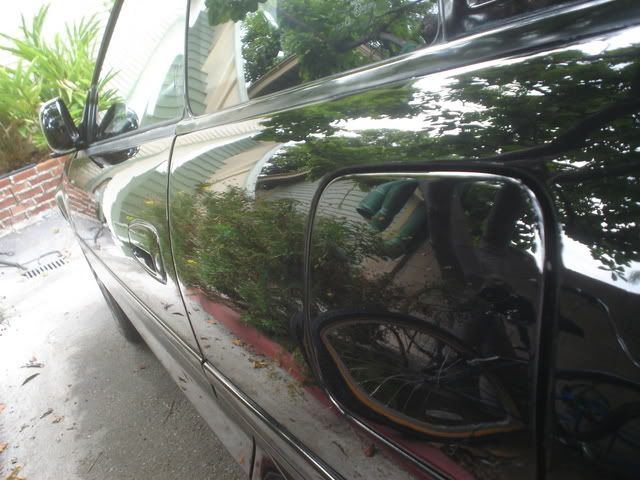 DSC02342.jpg
