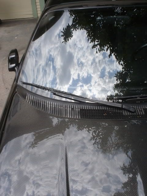 DSC02373.jpg