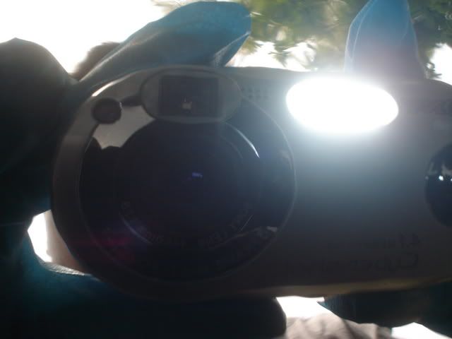 DSC02217.jpg