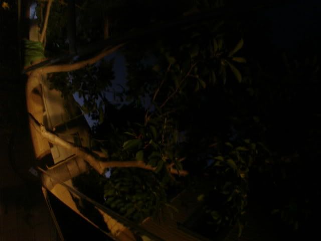 DSC02289.jpg