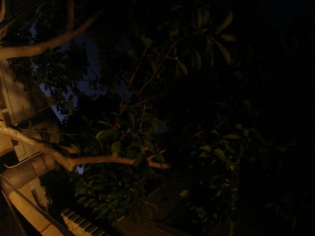 DSC02290.jpg