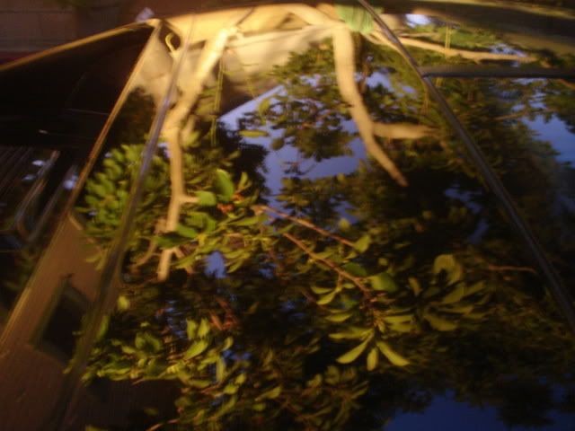 DSC02292.jpg