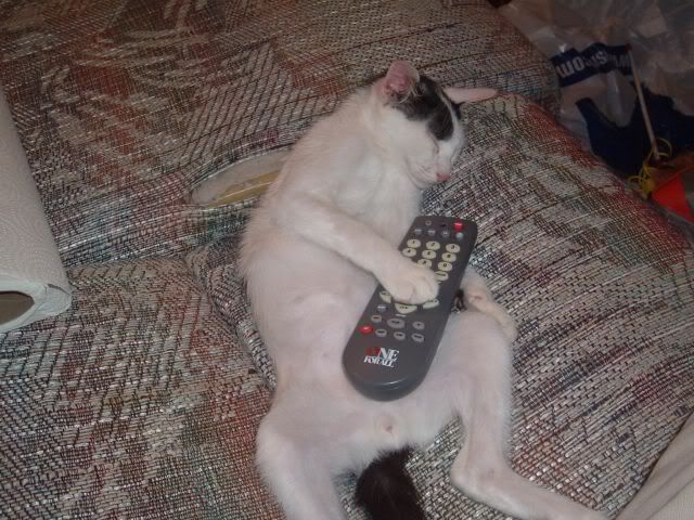 IMAGE: http://i18.photobucket.com/albums/b108/KappaBeast/Shazam4.jpg