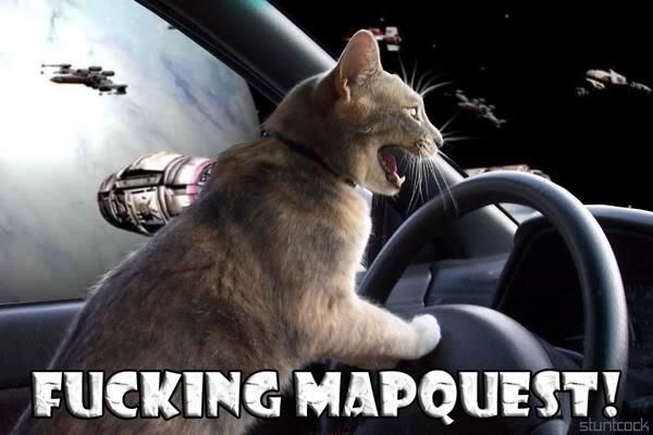 Map Quest Cat