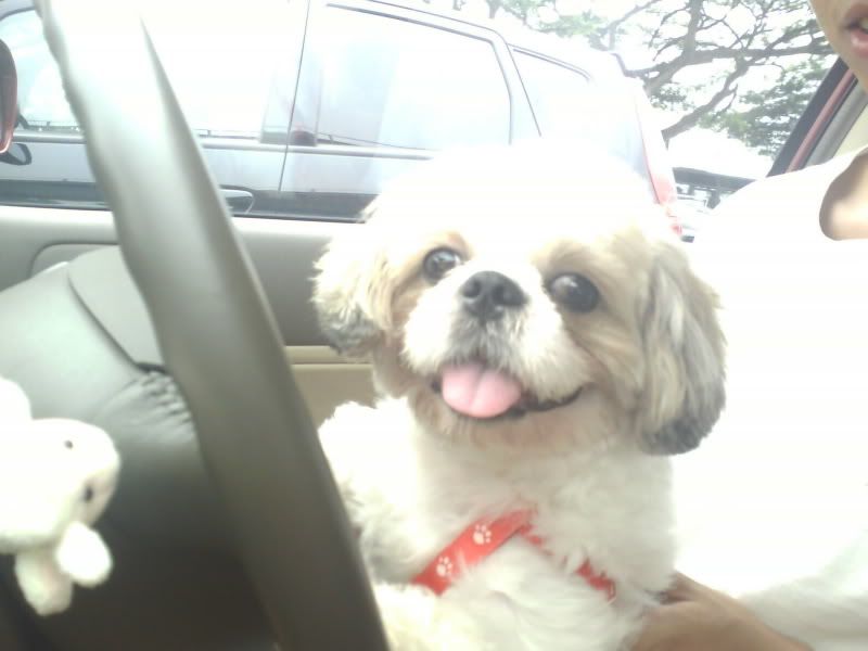 Photobucket - Video and Image Hosting