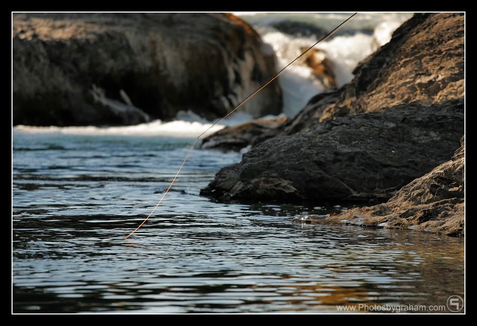 Fishing-12.jpg