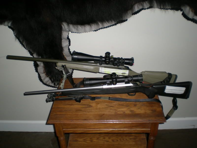 Tikka308s001.jpg