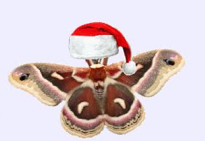 A great picture of Mothra