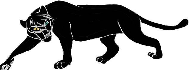 panther.jpg