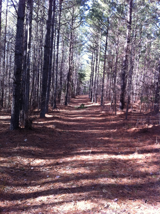 Favorite quiet spot in Raleigh/Cary Raleigh, Durham, Chapel Hill