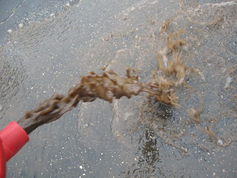 IMG_2573.jpg