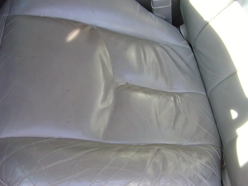 P1010002.jpg