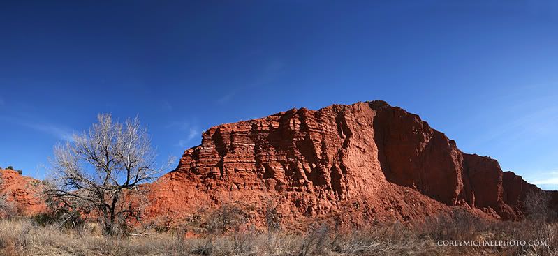 redrockandtreeS-1.jpg