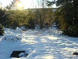th_DSC00014.jpg