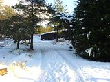 th_DSC00017.jpg