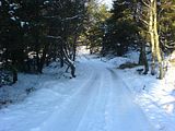 th_DSC00021.jpg