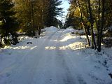 th_DSC00024.jpg