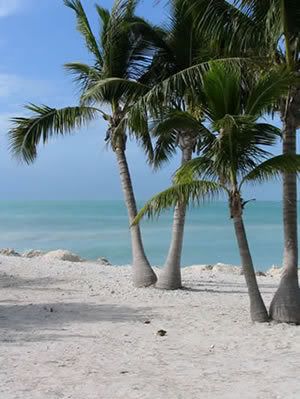 florida-keys-beaches.jpg