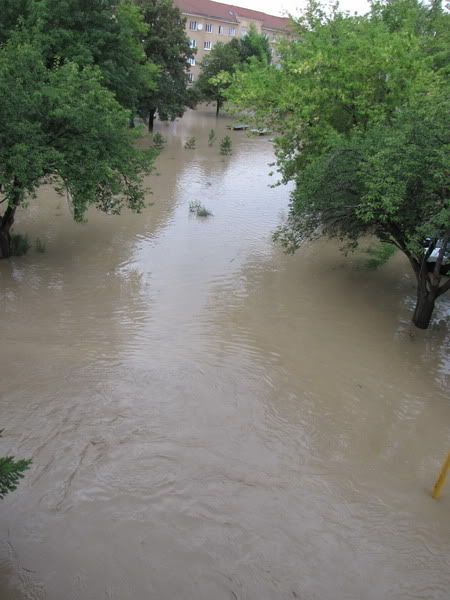 Obrázok