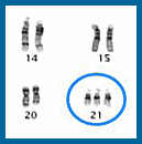 Eponymous Diseases A-Z