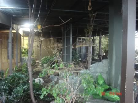 Free-Flying Aviary 2