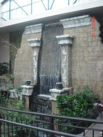 Free-Flying Aviary 3