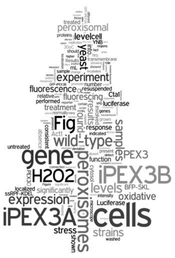 Wordle Peroxisomes