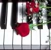 piano_rose.jpg