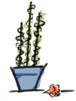 Image hosted by Photobucket.com