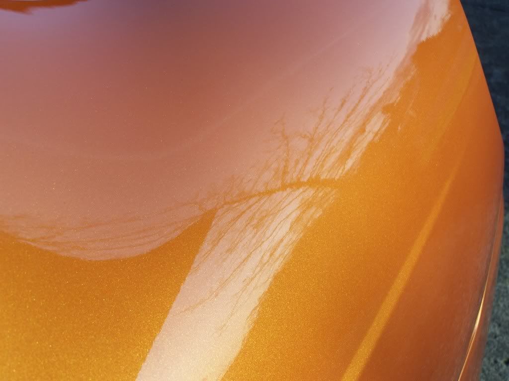 100_6667.jpg